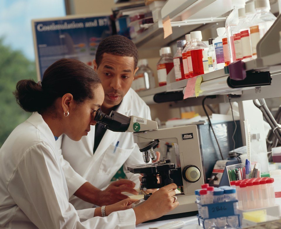Two scientists working together at a laboratory microscope