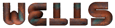 WELLS multi-well analysis logo